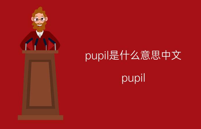 pupil是什么意思中文（pupil size什么意思）